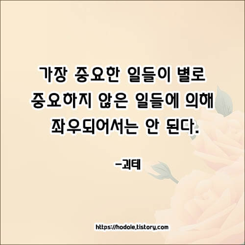 괴테-명언