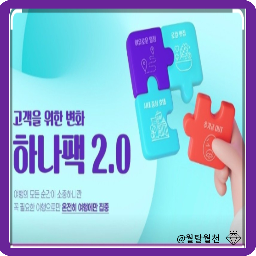 하나팩2.0출시