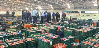 농협공판장 인터넷 통합거래시스템 