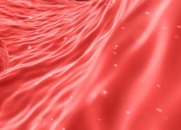 hdl콜레스테롤 정상수치