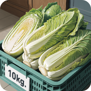 2025 해남 절임배추 10kg 이미지