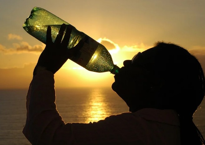 더위에 지친 여름 피로에 좋은 음식, 피로에 좋은 영양제