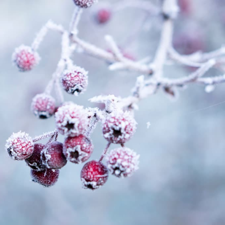 계절의 변화를 세분화한 24 절기 중 &amp;#39;상강&amp;#39; 이해하기