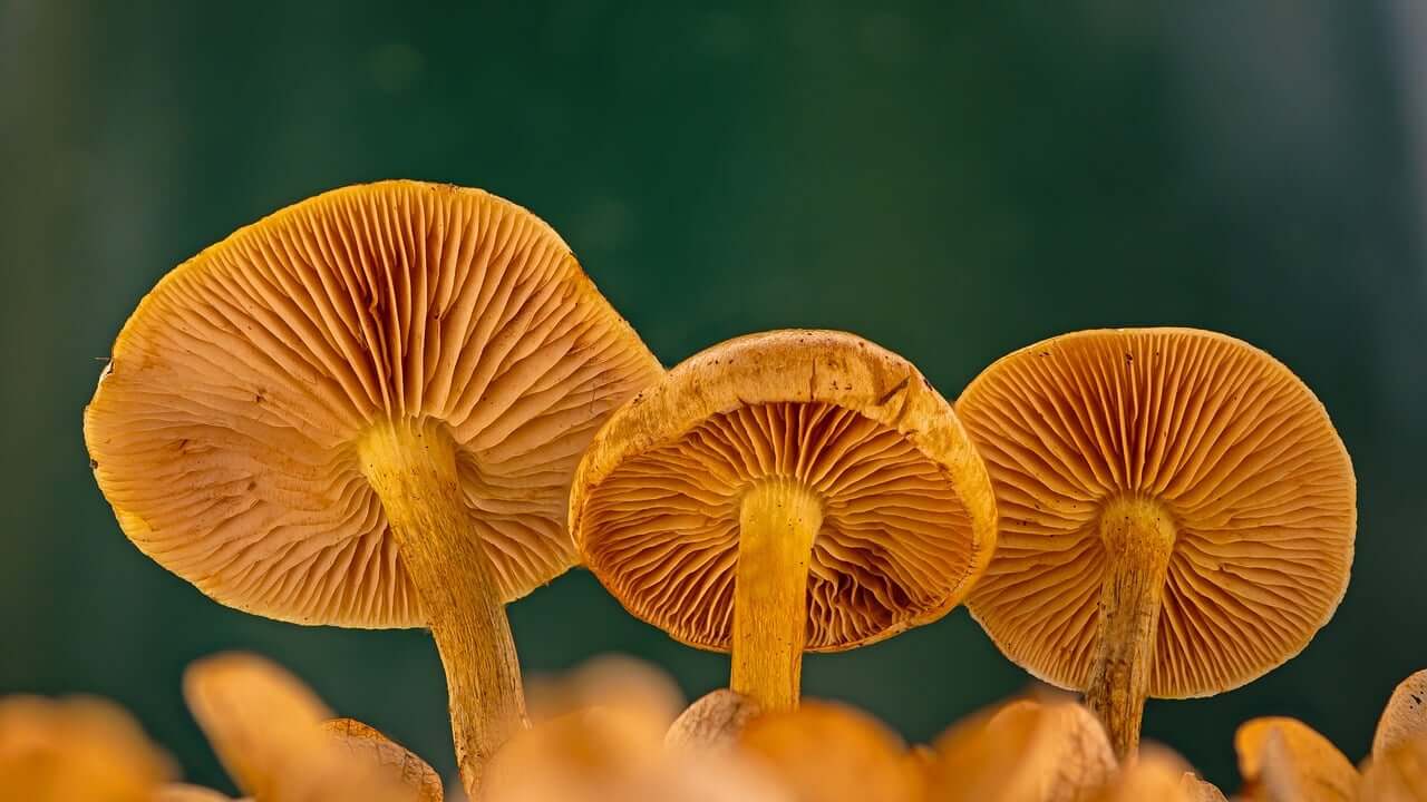 남해 편백 자연휴양림 예약 방법