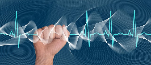  2026년 건강검진 대상자 총정리