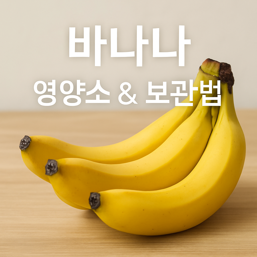 바나나 영양소와 보관법 – 건강하게 먹고, 신선하게 보관하는 법 썸네일
