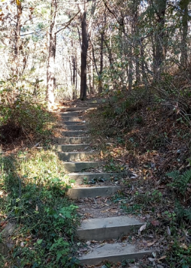 서울근교벚꽃명소