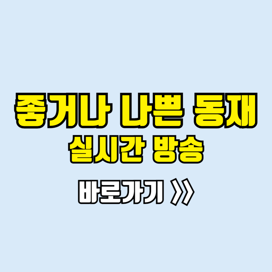 좋거나나쁜동재 실시간보기