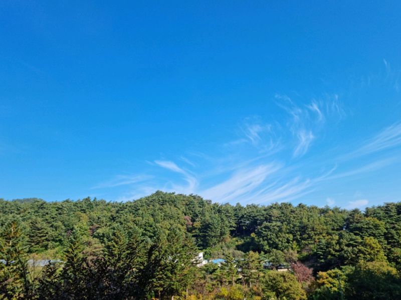 대관령자연휴양림