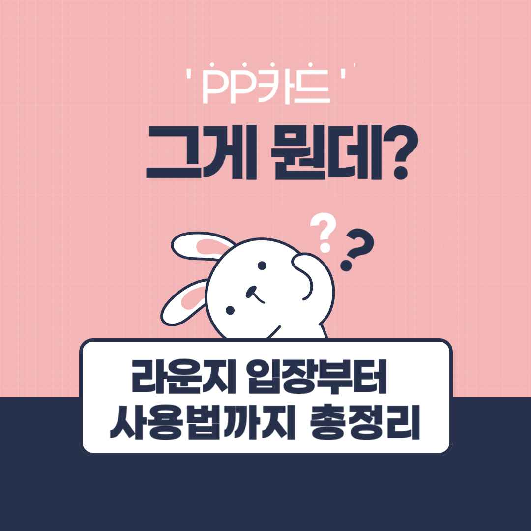 'PP카드', 그게 뭔데? (라운지 입장부터 사용법까지 총정리)