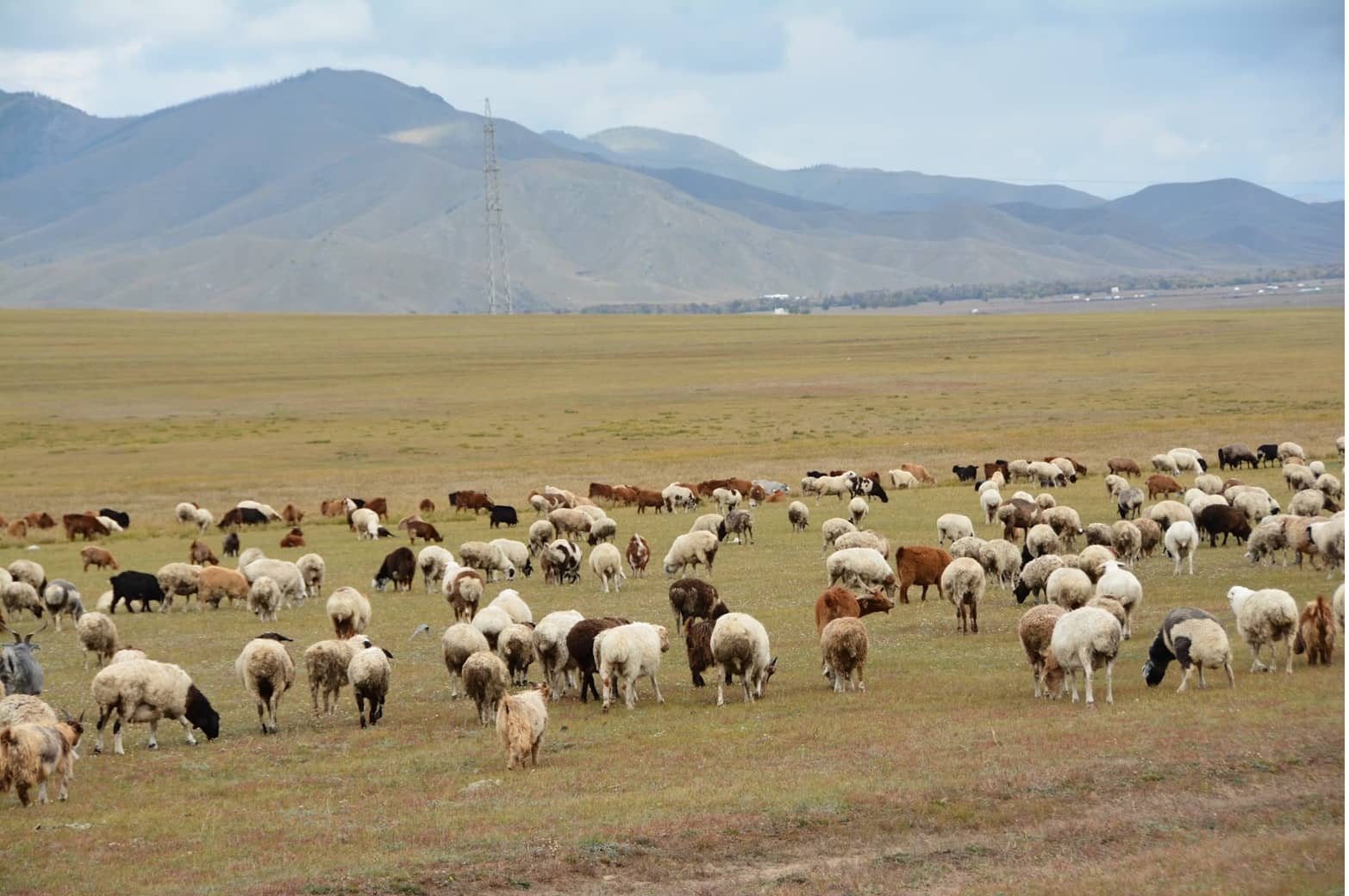 초원 체험에 꼭 필요한 준비물과 주의사항