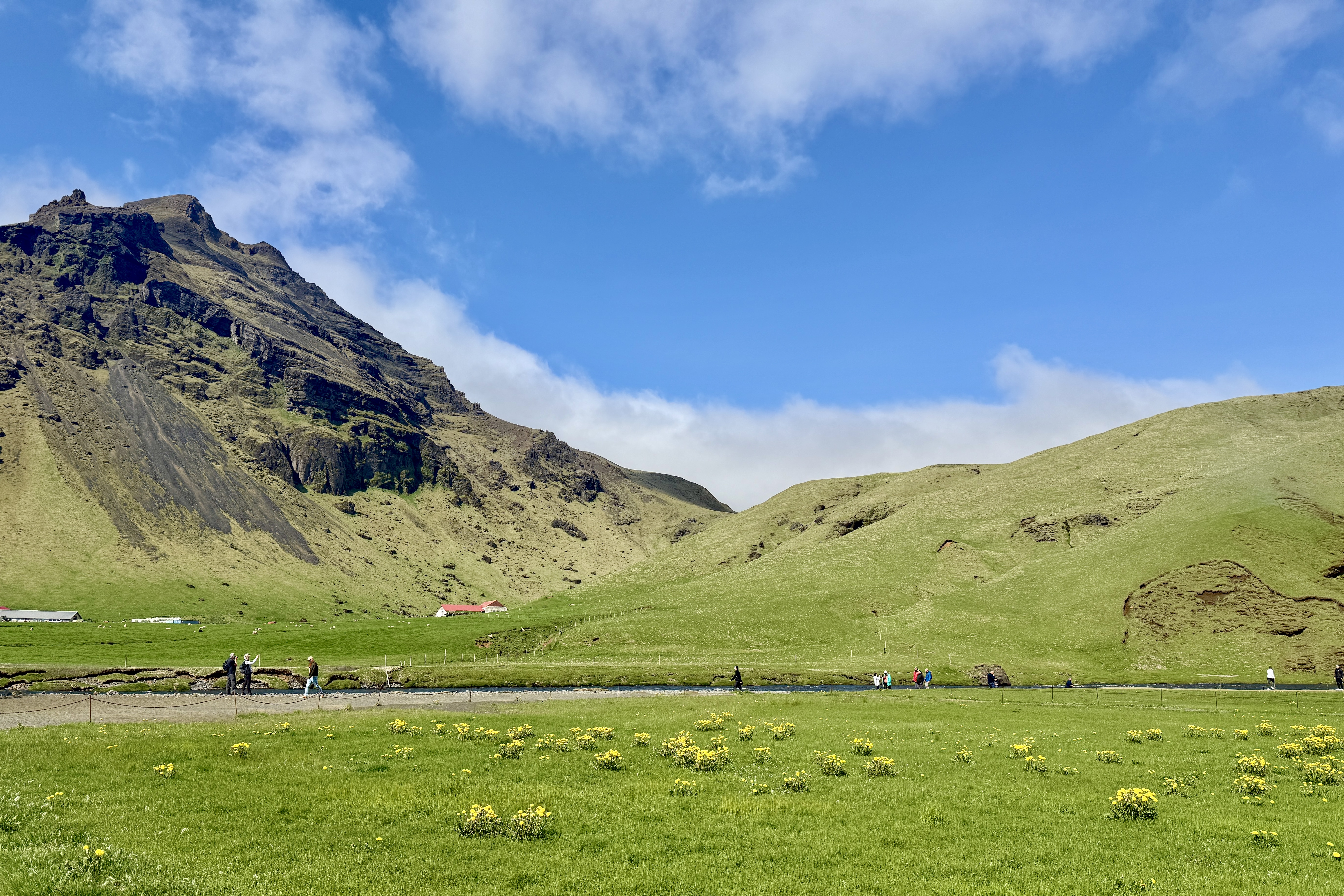 아이슬란드 스코가폭포 주변 초록 언덕과 관광객들, 전경에 노란 꽃이 핀 목초지 풍경