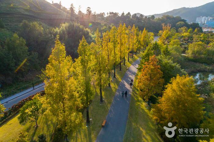 전라남도-순천만국가정원