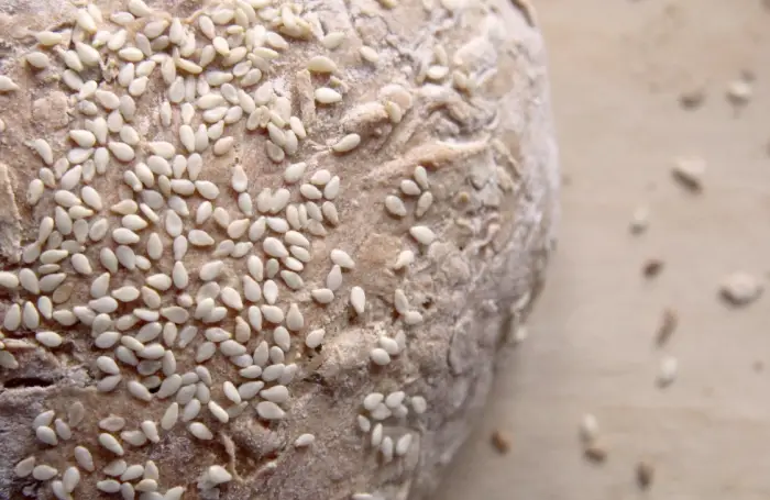 생들기름 들기름 차이