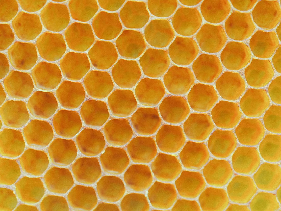 Honey