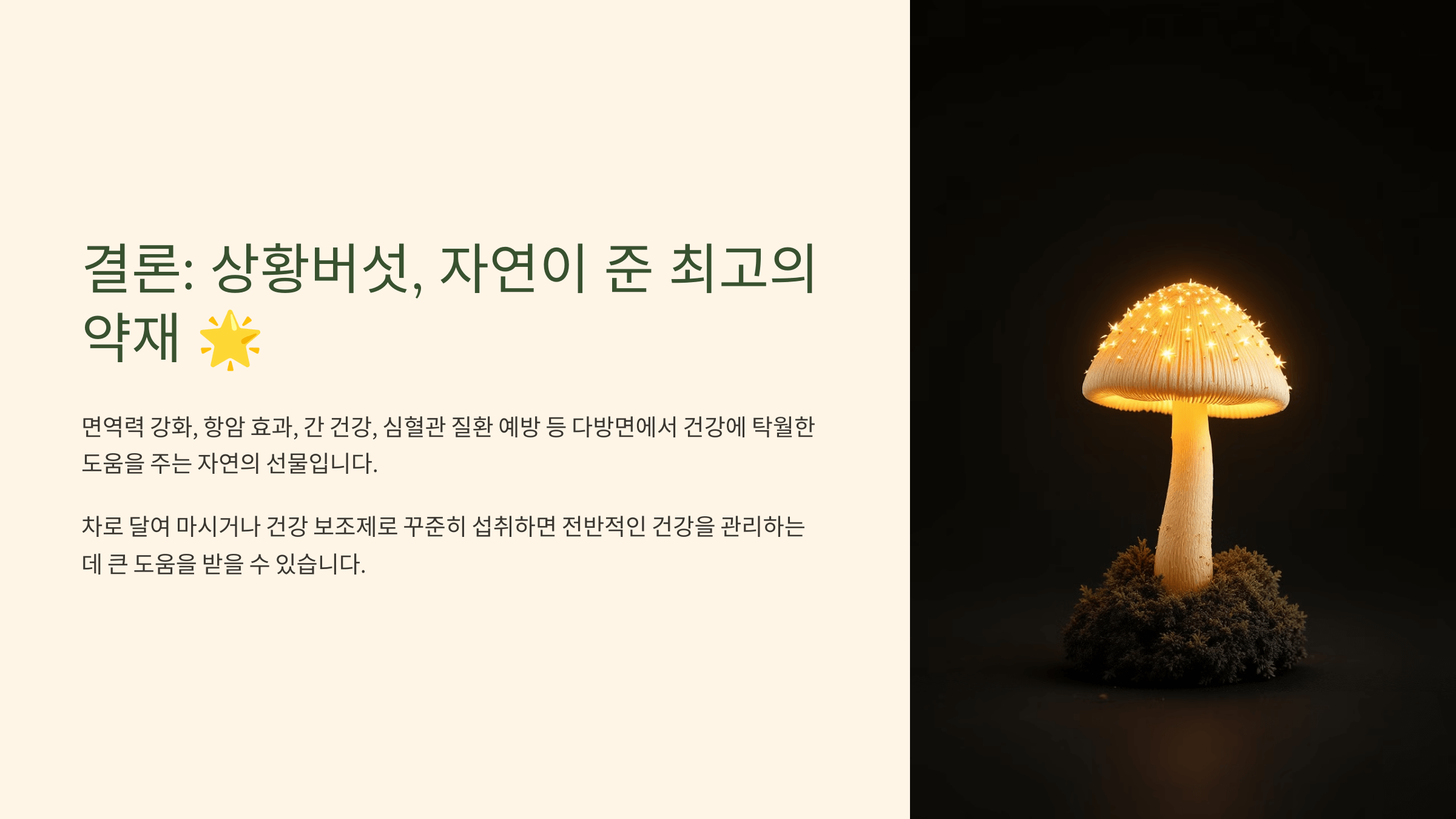 상황버섯 사진입니다.