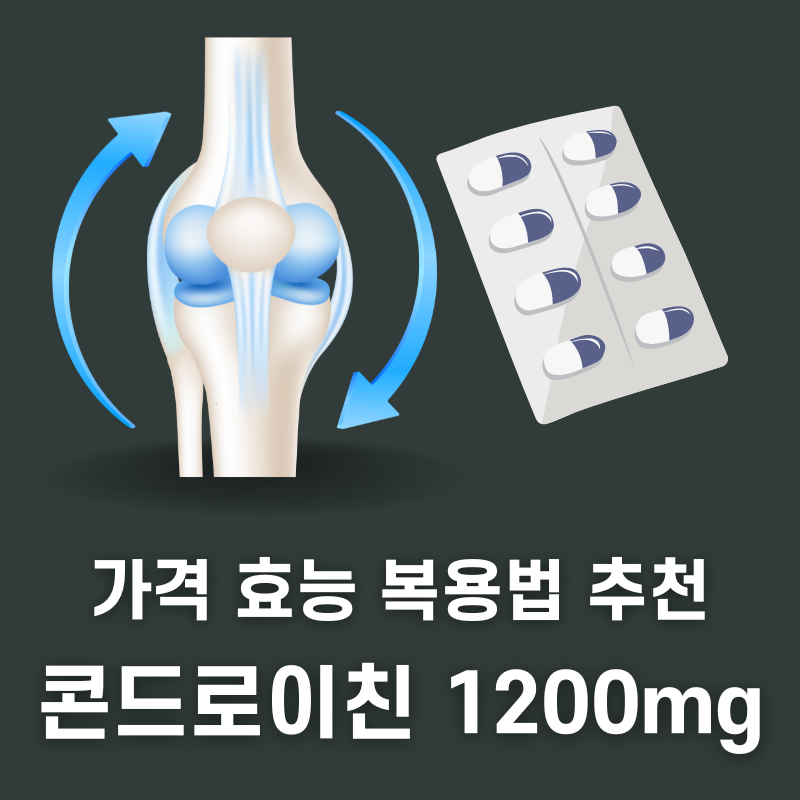 소연골 콘드로이친 1200mg 추천