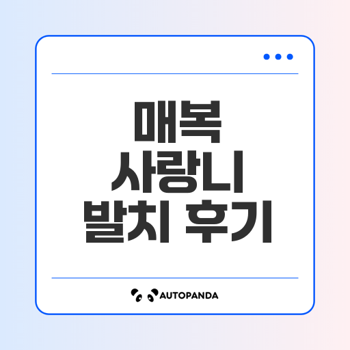 매복 사랑니 발치 후기