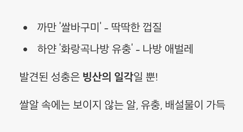 쌀통 속 불청객의 정체