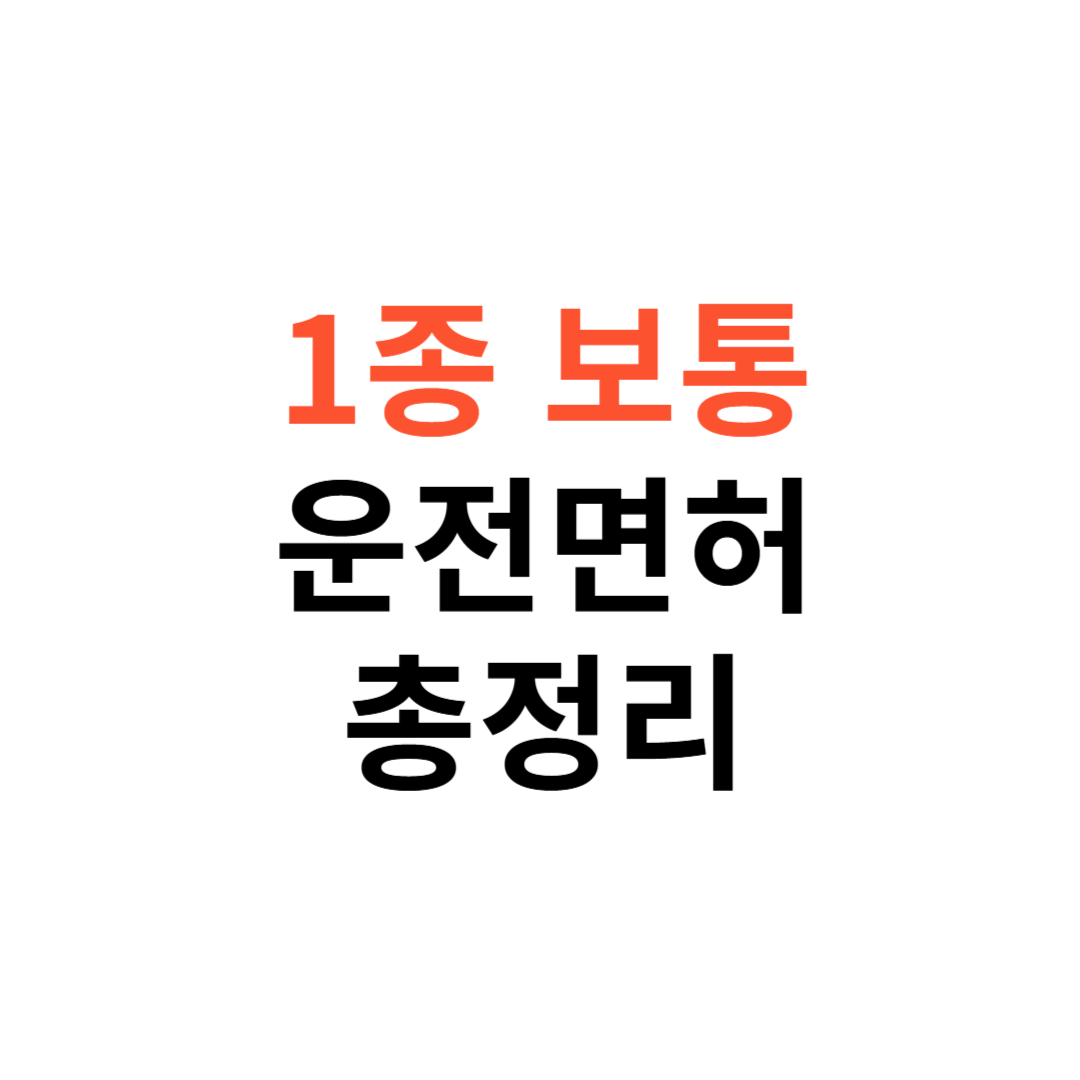 1종 보통 운전면허