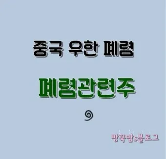 중국폐렴 대장주 관련주 TOP5 총정리_22