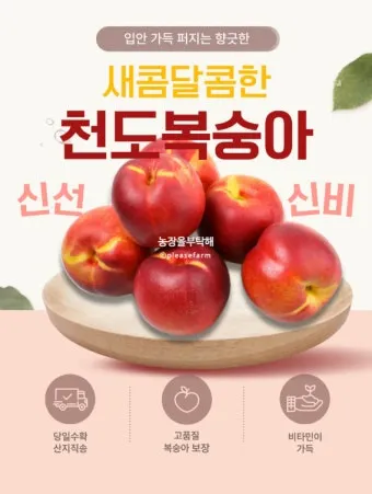 천도복숭아 효능 부작용 칼로리 섭취방법 완전 정리_15
