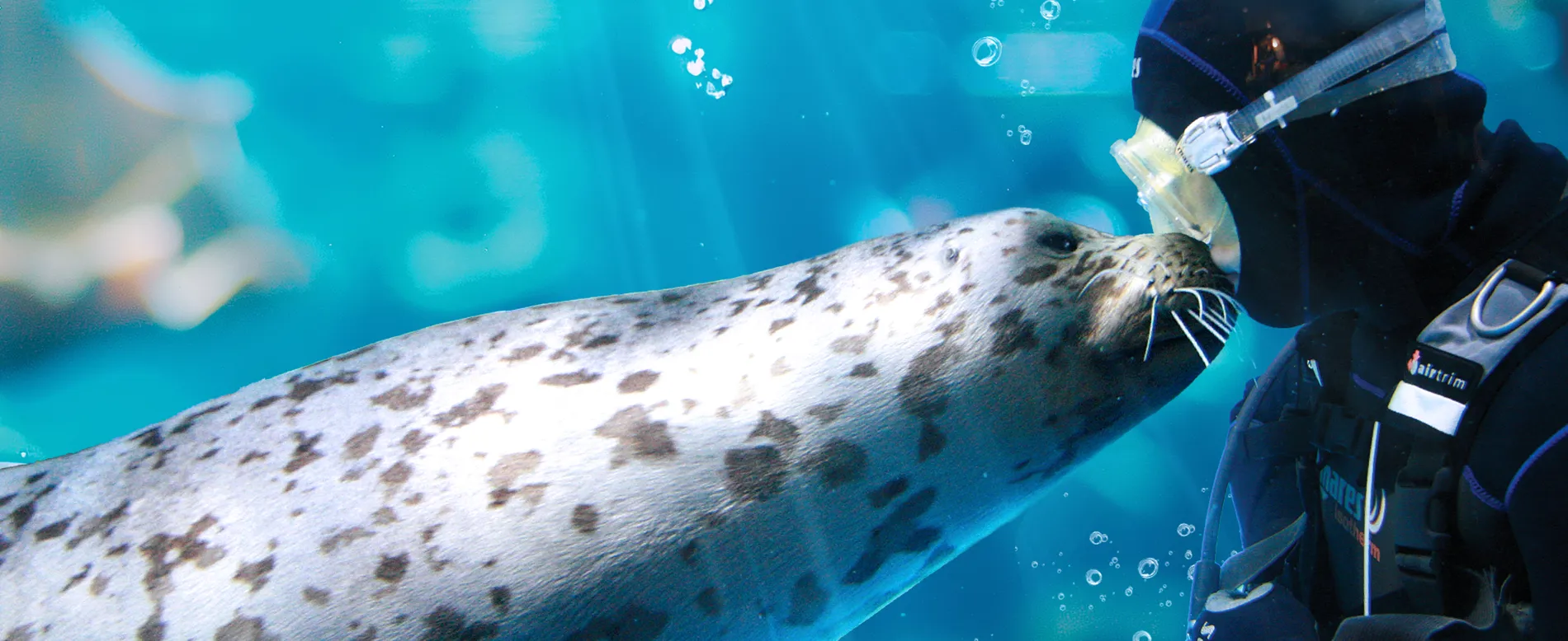 부산아쿠아리움