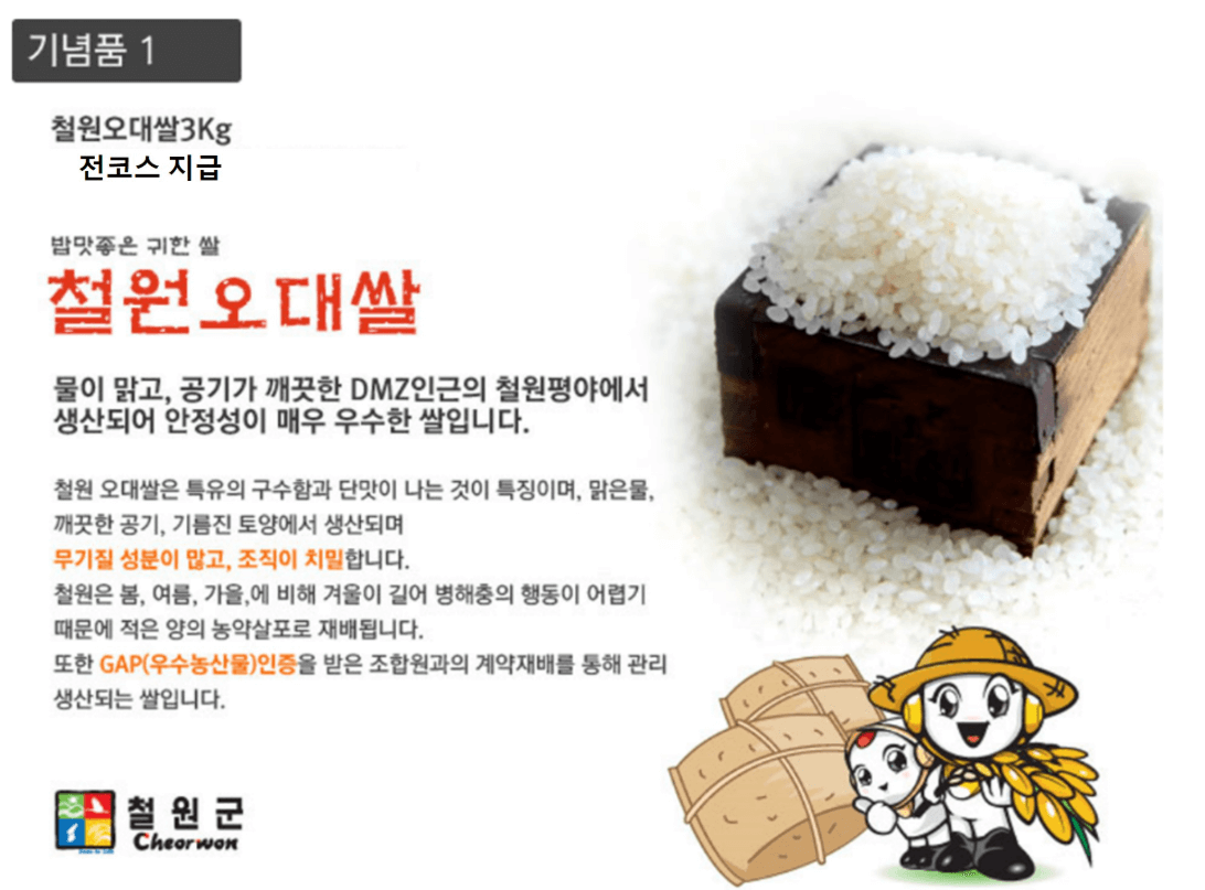 2025 철원DMZ국제평화마라톤 완벽 가이드: 평화의 길을 함께 달리다.
