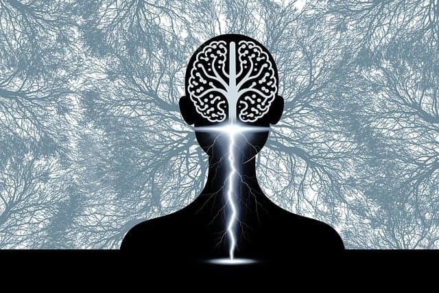 형사소송에서 ‘간이공판절차’의 요건과 적용 사례 분석