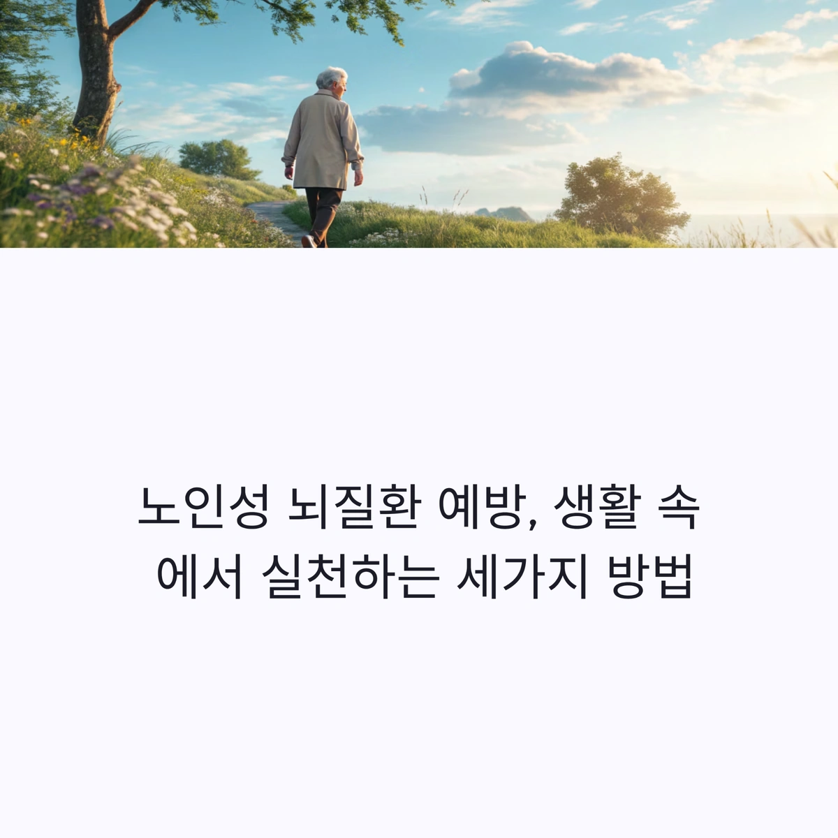 노인성 뇌질환 예방을 위한 생활 속 실천 방법 대표 이미지