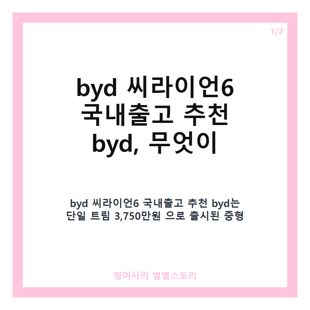 byd 씨라이언6 국내출고 추천 byd 3,750만원 단일 모델과 70km EV 모드 특징 집중 분석 카드뉴스 1