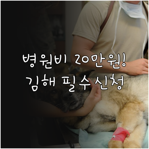 김해시 반려동물 병원비 지원금 20만..