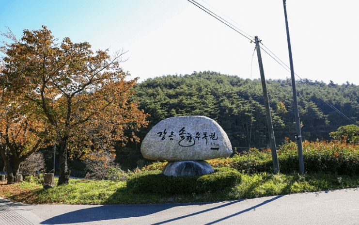 강릉 가볼만한곳 베스트10