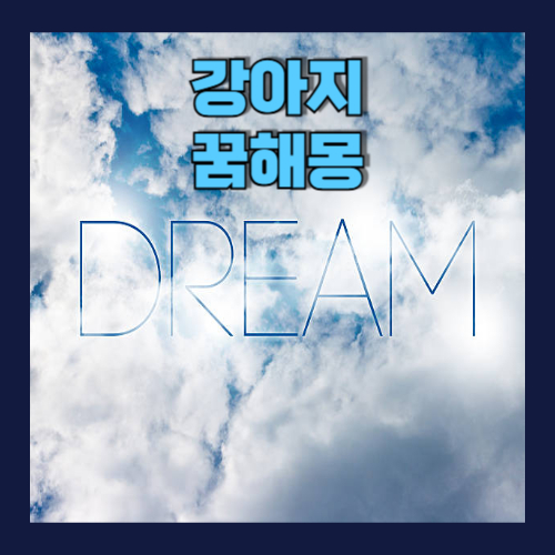 강아지 꿈해몽