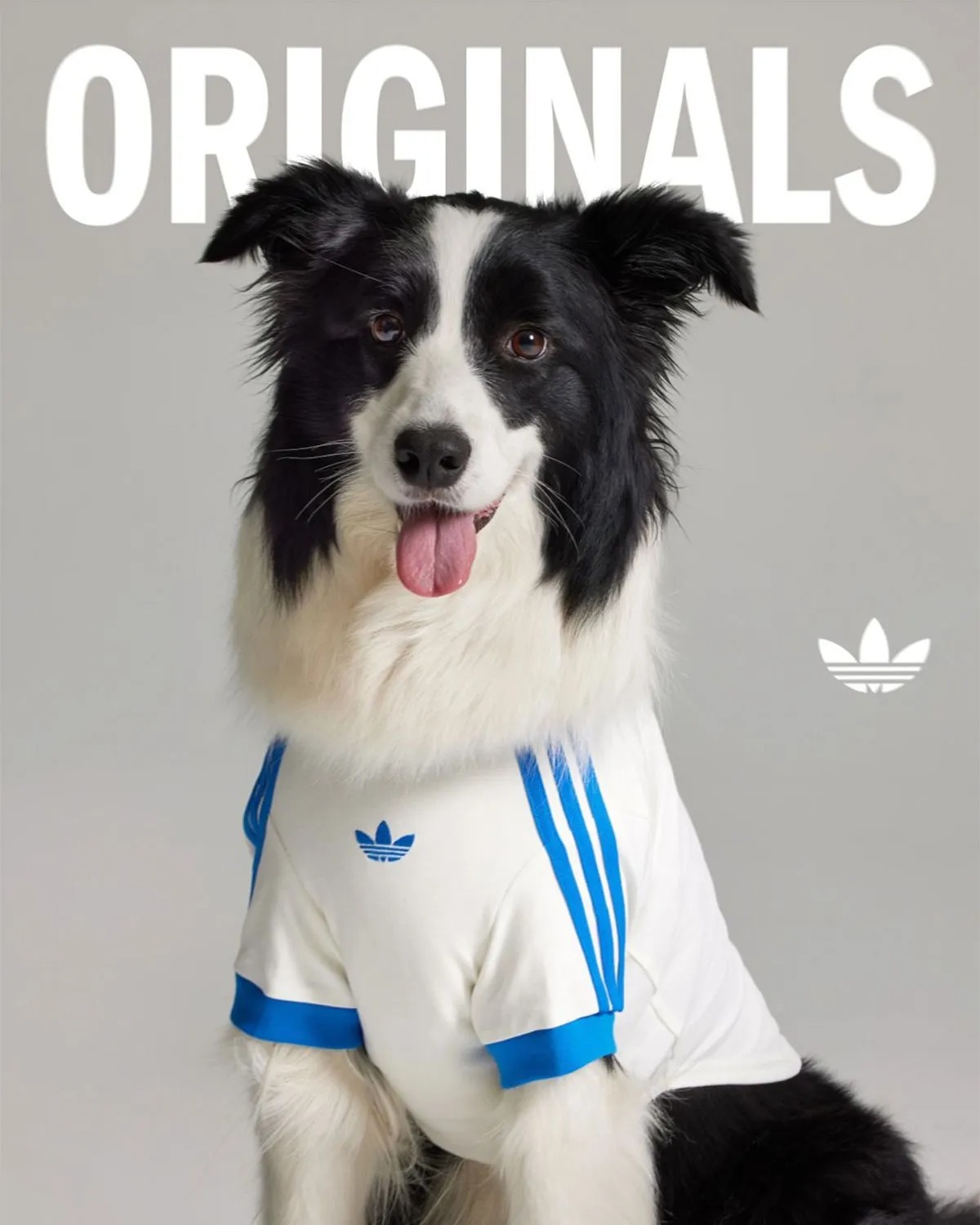 adidas Originals Is Dropping Apparel And Accessories For Pets