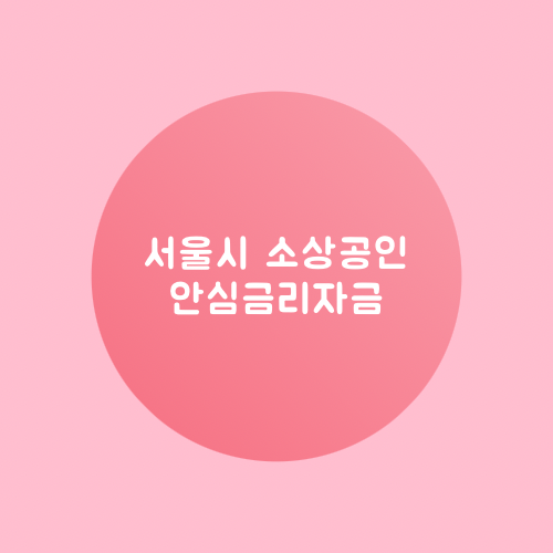 서울시 소상공인 안심금리자금