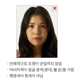 여권 사진 규격 사이즈