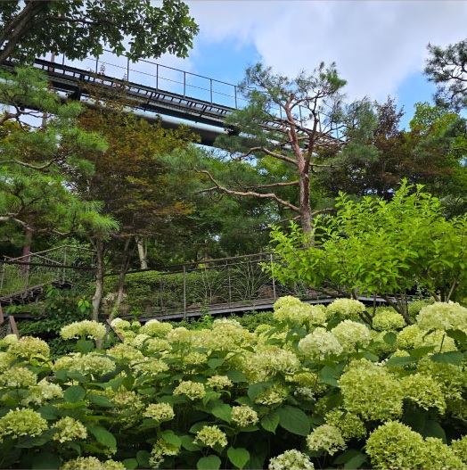 화담숲 가을 단충축제 사전예약 오픈