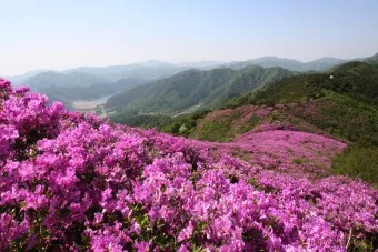 남원 봉화산 철쭉 산행 주차장 등산코스_2
