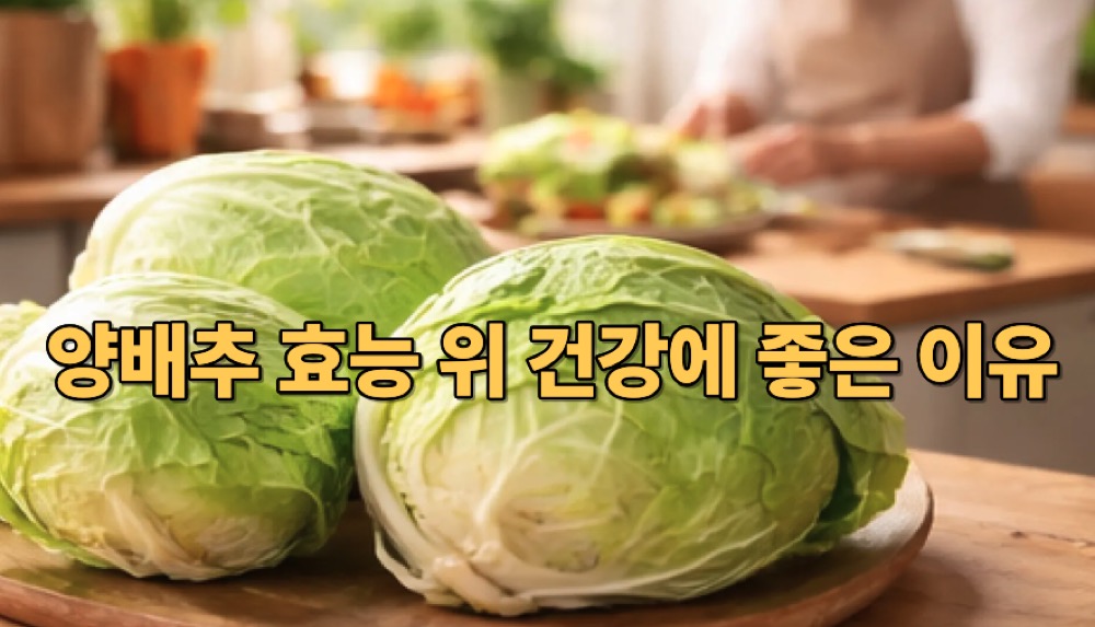양배추 효능 위 건강