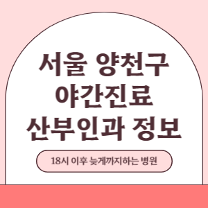 서울 양천구 야간진료 산부인과 병원 (18시 이후 늦게까지하는 병원)