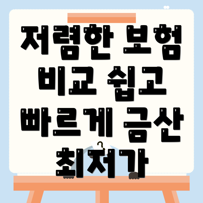 자동차보험