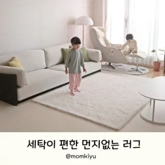 러그 세탁 드라이클리닝 표지 확인과 국소세척 요령_20