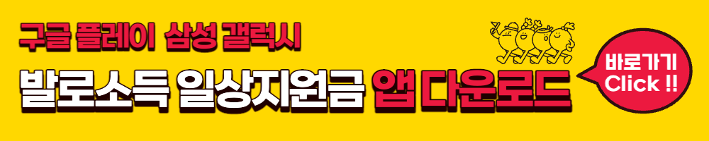 전국민 일상지원금 발로소득