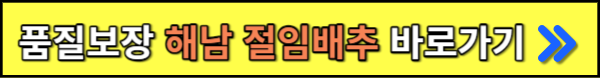 김장 김치