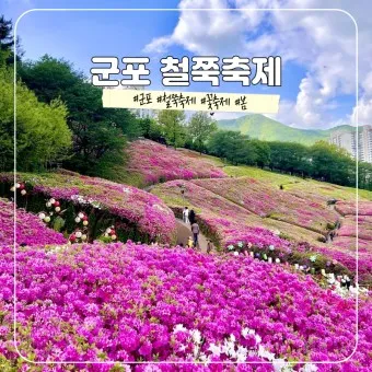 군포 가볼만한곳 베스트10 현지인 추천 필수코스_11