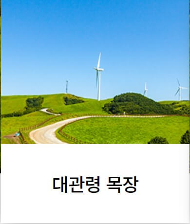 2025 대관령 눈꽃축제