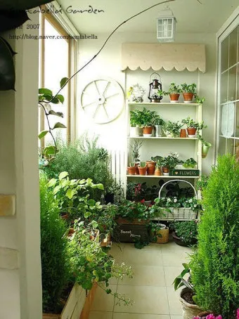 베란다정원 키우기 바람차단 햇빛차광 물주기 여름철 관리 요령_14