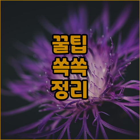 하노이 호텔 추천 베스트 5.. 가격