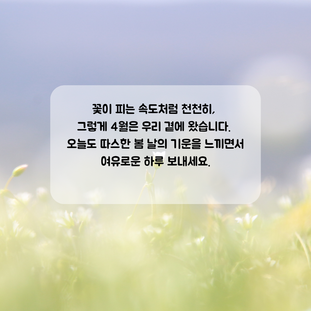 4월 인사말 문구 이미지 모음집 좋은글귀 봄 인사말